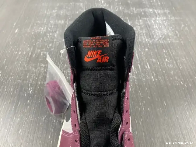 Reps LUCY 1 Gore-Tex Element DB2889-500 Jordan Air 0424
